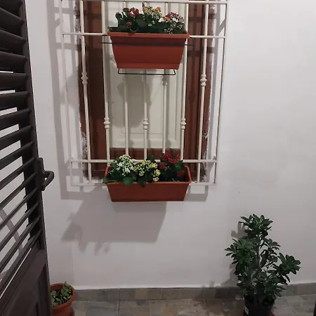 Σπίτι διακοπών Myrica House